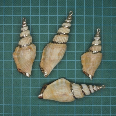 Conchas marinhas com detalhes metálicos prateados em fundo quadriculado