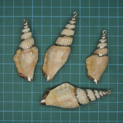 Conchas marinhas decorativas com detalhes metálicos sobre superfície quadriculada verde.