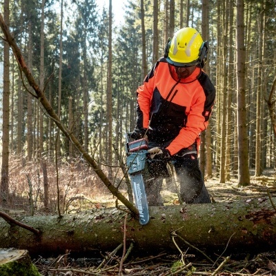 Pessoa com equipamentos de segurança a cortar árvore no bosque com motosserra.