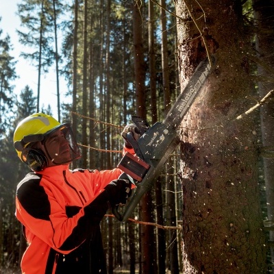 Pessoa a cortar árvore com motosserra numa floresta