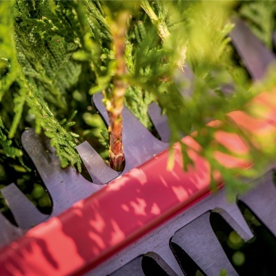 Ferramenta de jardinagem com lâminas metálicas e folhagem verde ao redor
