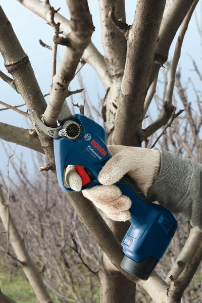 Tesoura de podar sem fio GGP 12V-25