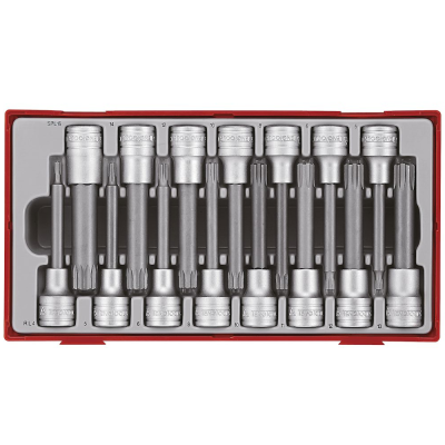 Jogo de 15 pontas Ribe e XZN 100mm de 1/2'' Teng Tools
