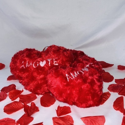 Almofada Coração "Amo-te"