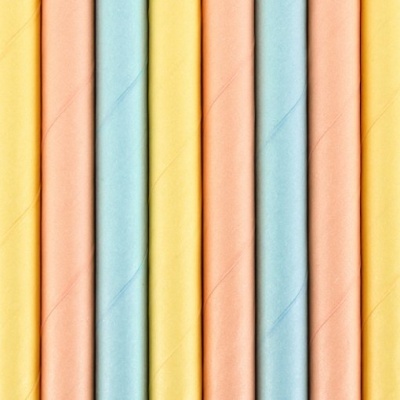 10 Palhinhas de Papel Pastel