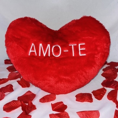 Almofada Coração