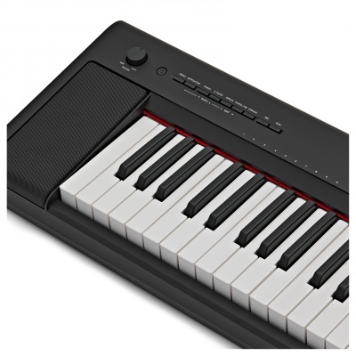 Yamaha Piaggero NP35 Black