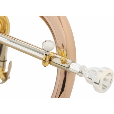 Fliscorne Lechgold FH-60G