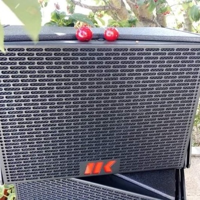 MAK8 satélite line array