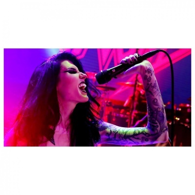 sE Electronics V7 BLACK