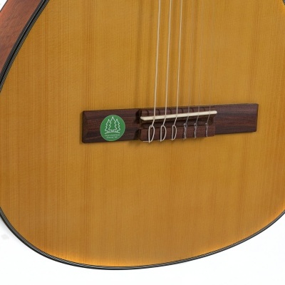 GEWA 4/4 Student Classica