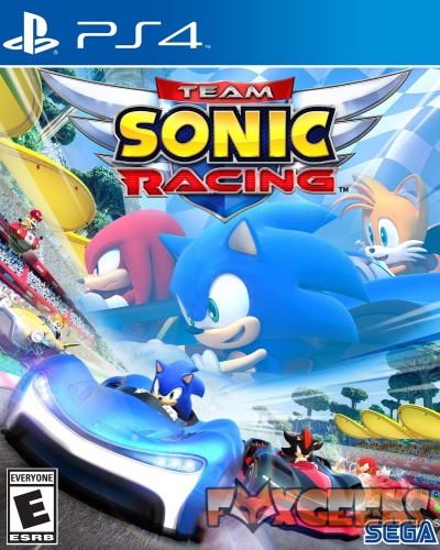 Team Sonic Racing - PREMIUM [PS4]