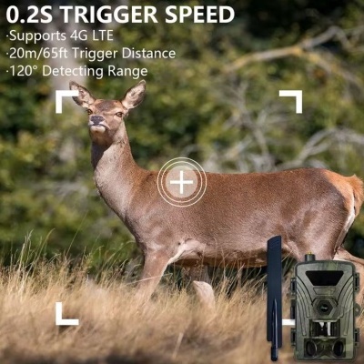 Câmara de caça portátil 4G PRO  - APP imagem em tempo real