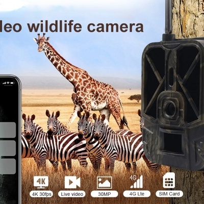 Câmara de vida selvagem preta fixada numa árvore com telemóvel a mostrar notificações