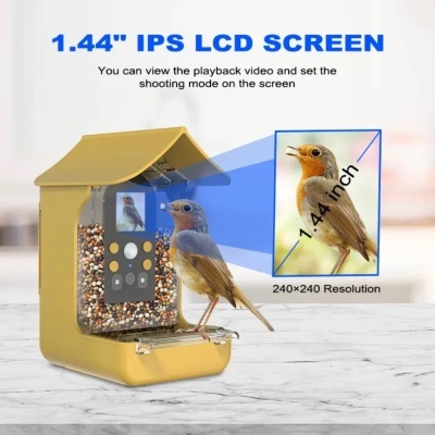Comedouro dourado para pássaros com ecrã LCD IPS 1,44 polegadas e pássaro posado