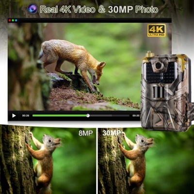 Câmara de vídeo 4K com capacidade de 30MP e imagens de animais selvagens