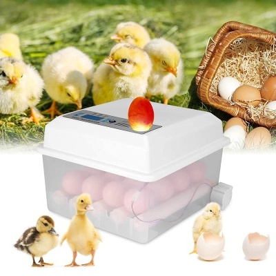 Incubadora de ovos automática 16 ovos