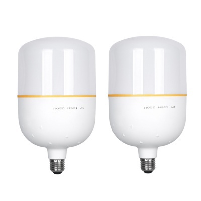 Iluminação LED bi color 2 softboxes