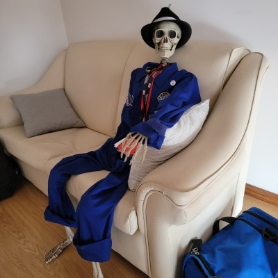 Esqueleto decorativo 160cm tamanho real