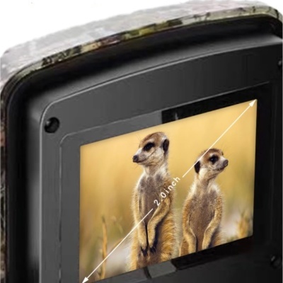 Ecrã digital preto com imagem de dois suricatos e texto 