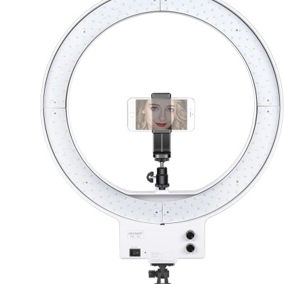 Ringlight branco tripé prata 48cm anel luz bicolor regulação cor