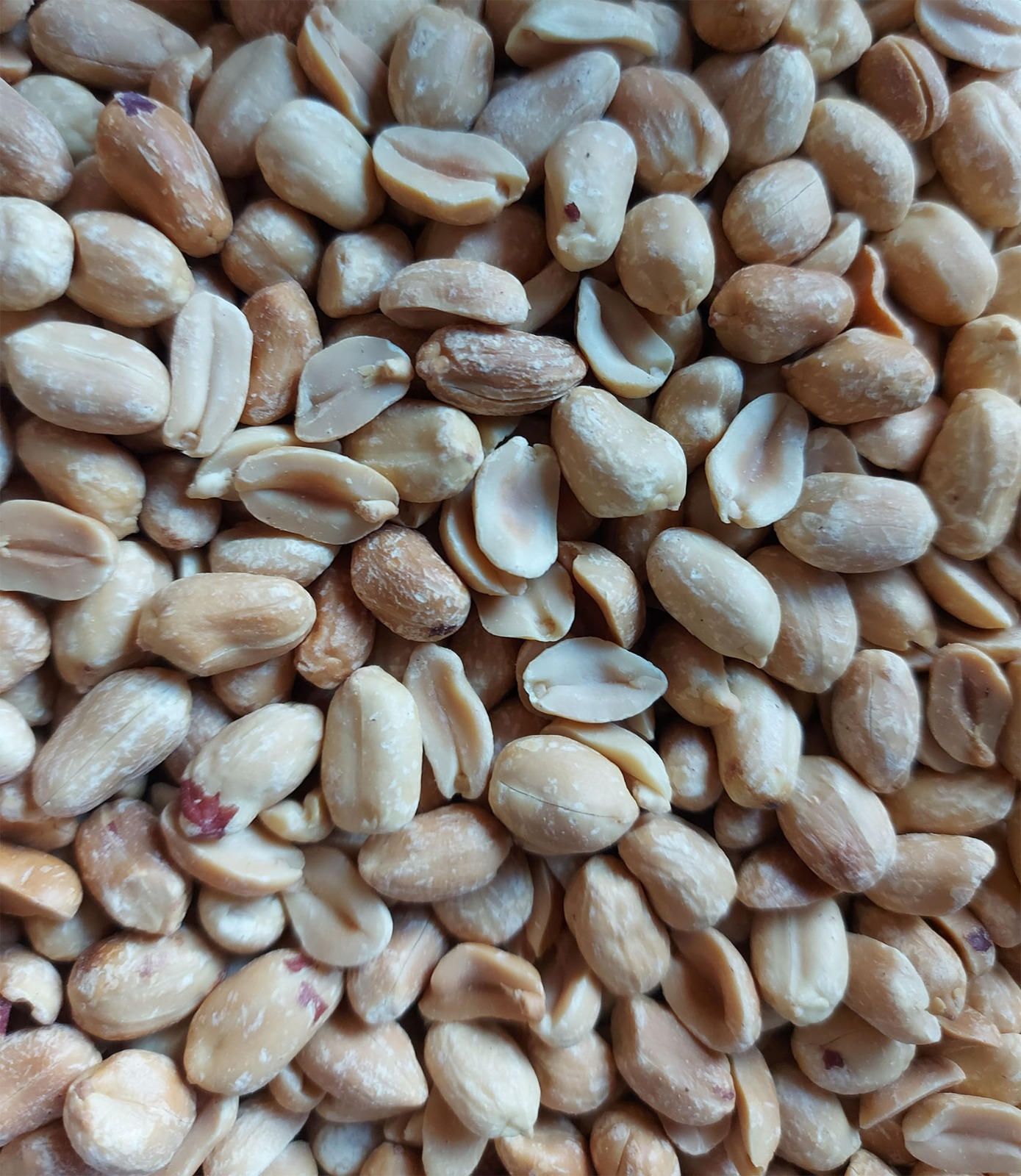 Amendoim torrado sem sal Amendoim torrado sem sal