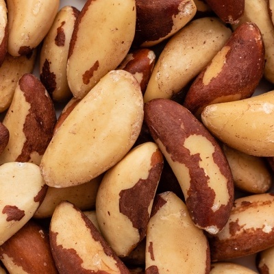 Castanha do Maranhão