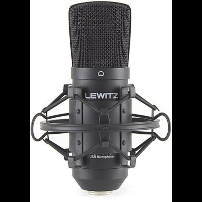 Lewitz C100USB