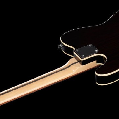 Harley Benton TE-70RW Deluxe Series