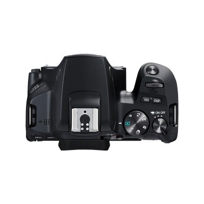 Canon EOS 250D DSLR (corpo) Canon EOS 250D DSLR (corpo)
