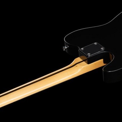 Harley Benton TE-70 Black Paisley