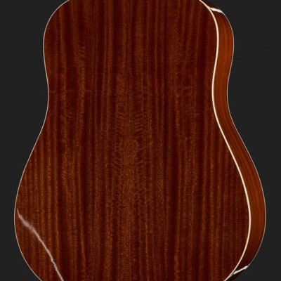 Harley Benton D-120NT