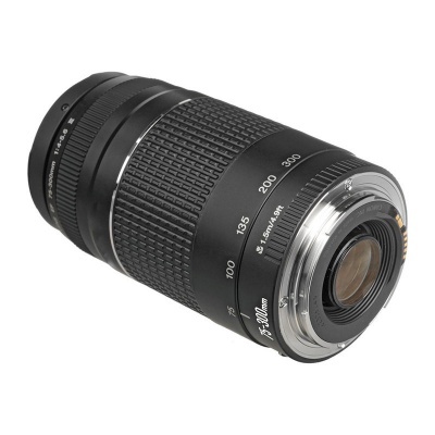 Canon EF 75-300mm f/4.0-5.6 III