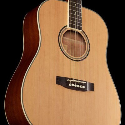 Harley Benton D-120NT