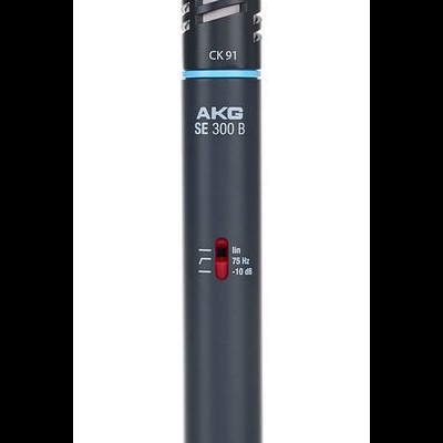 AKG C 391 B