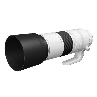 Canon RF 200-800mm f/6.3-9.0 IS USM