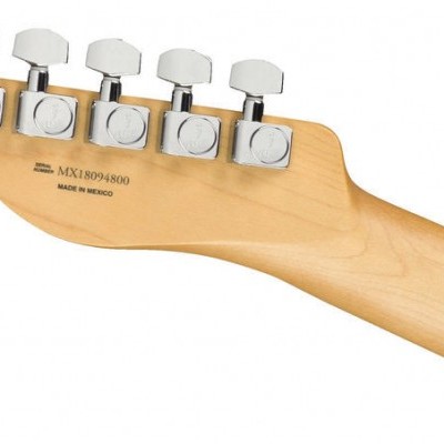 Fender Player Series Tele MN TPL