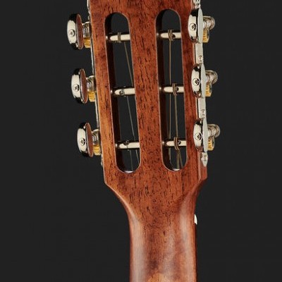 Harley Benton Custom Line CLP-15M