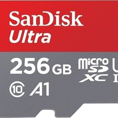 SanDisk Ultra Micro SDHC 256 GB