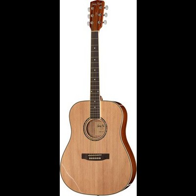 Harley Benton D-120NT