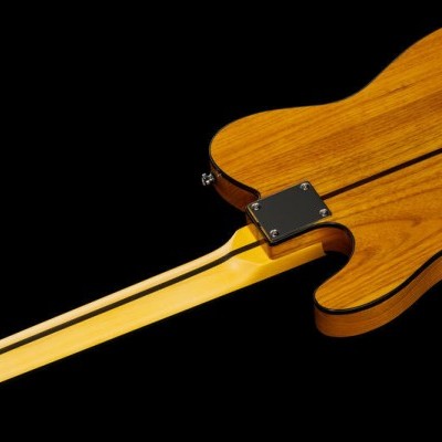 Harley Benton TE-80 NT Deluxe Series