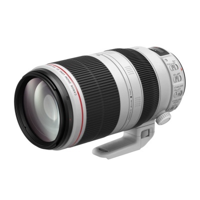 Canon EF 100-400mm f/4.5-5.6L USM IS Type II