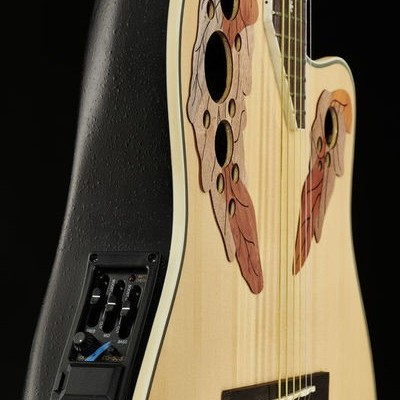 Harley Benton HBO-850NT