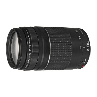Canon EF 75-300mm f/4.0-5.6 III