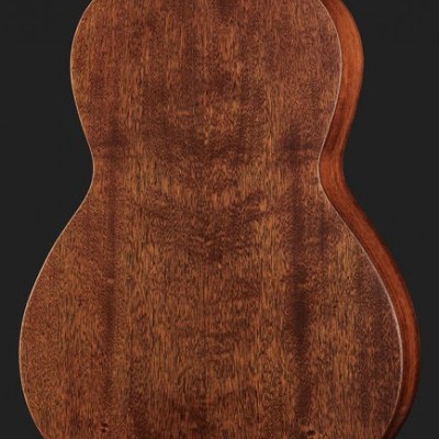 Harley Benton Custom Line CLP-15M