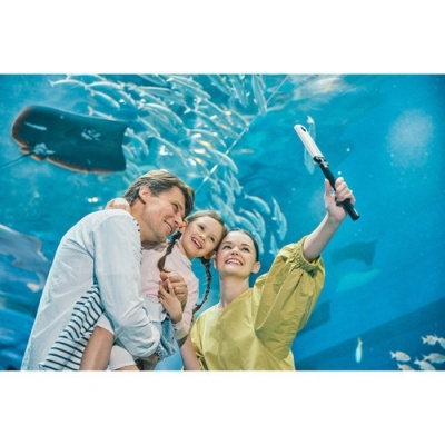 Família a tirar selfie com selfie stick em aquário com peixes.