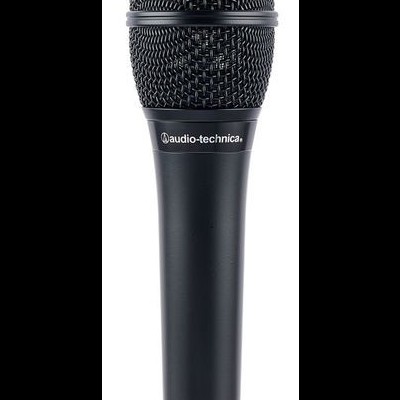 Audio-Technica AT 2010