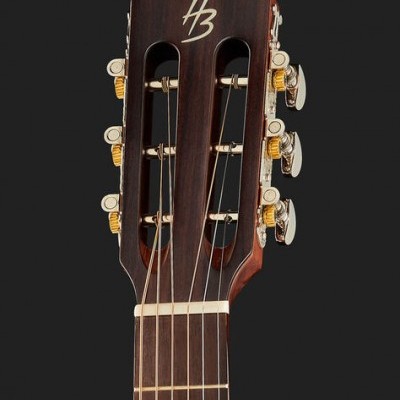 Harley Benton Custom Line CLP-15M