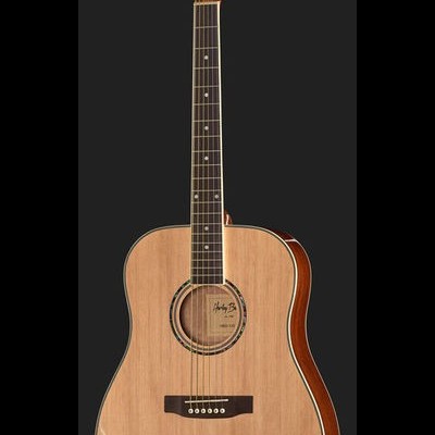 Harley Benton D-120NT