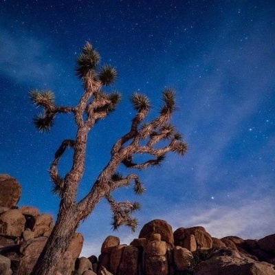 Panasonic Lumix G 42.5mm f/1.7 ASPH POWER OIS MFT-mount lens Black